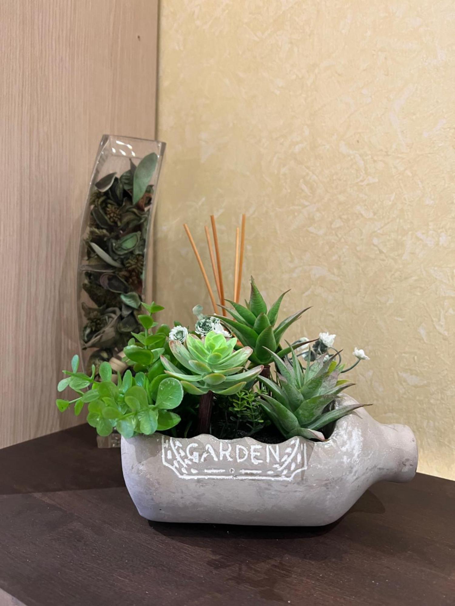 Casa I Cedri Apartment Borgo San Dalmazzo Ngoại thất bức ảnh